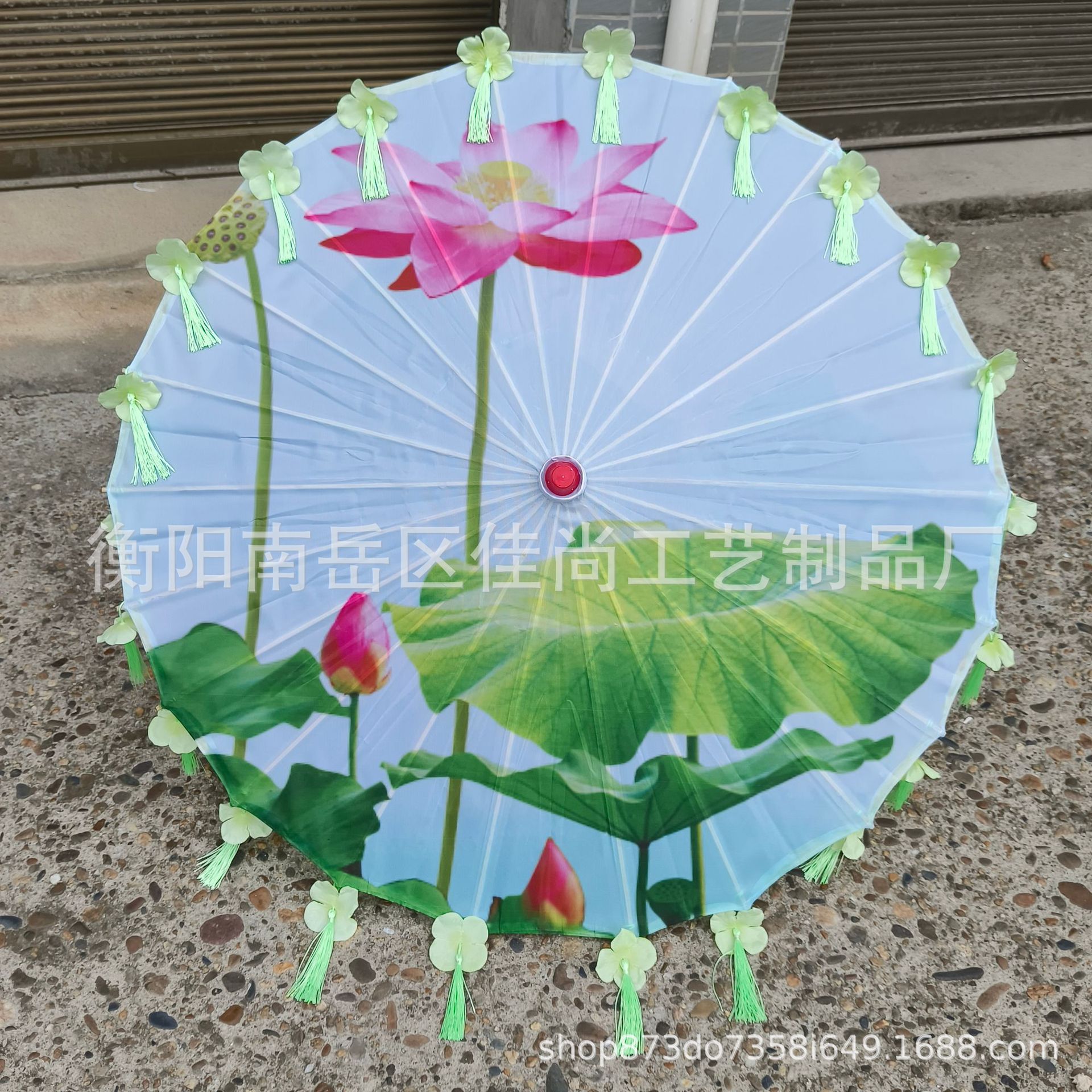 비 연꽃 녹색 꽃잎 우산