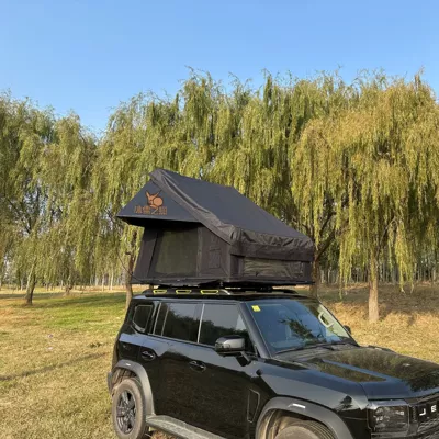 double car tent, Avtomobil dam çadırları