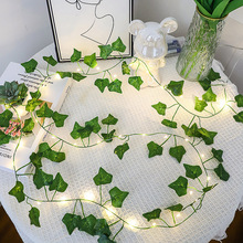 LED����������ɽ��̫���늳؟�������ͥԺ���@�b��~�����~�ʟ�