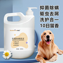 狗狗专用沐浴露抑菌杀螨驱虫除螨止痒萨摩耶蓬松柔顺美白除臭留香