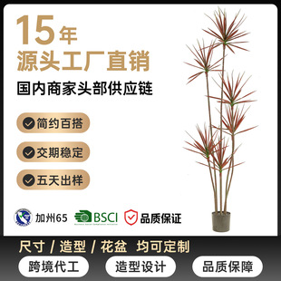 ����Gֲ��Ѫ�����Ը߼��������m�٘��҃ȿ͏d�b����ֲ��[��