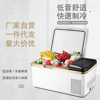 Car Refrigerator, Outdoor Small: Soyuducular