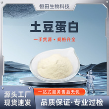 土豆蛋白粉 90% 马铃薯/土豆提取物 马铃薯蛋白 恒田供应