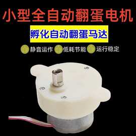 孵蛋机马达12-24枚孵蛋电机 全自动孵化器翻蛋马达减速电机