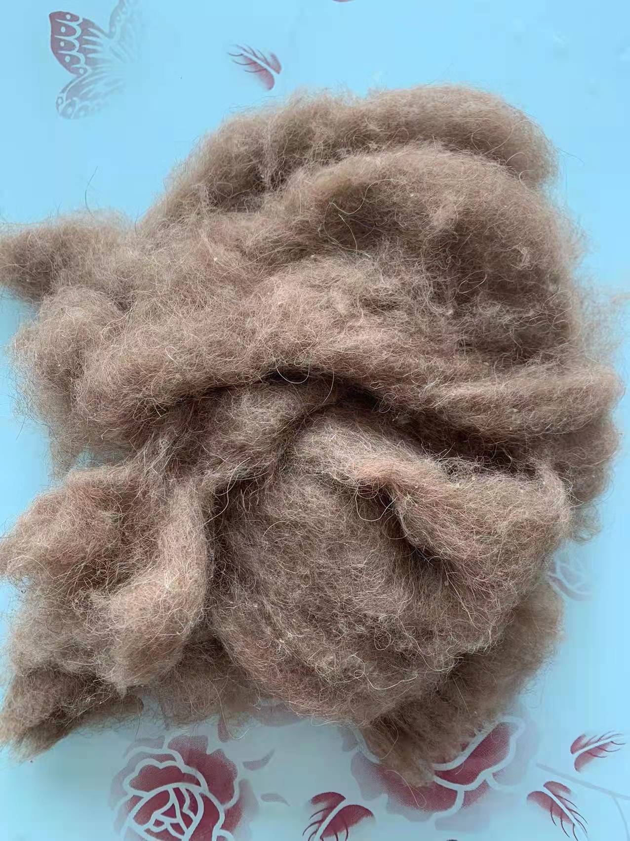 微信图片_20220221111046