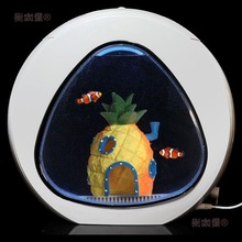 公子小丑魚活魚小型魚缸寵物海水魚觀賞魚熱帶魚桌面造景好麥太保