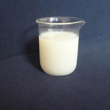 ЙCˮ ݄ 荾{݄ {݄ ϴ섩݄