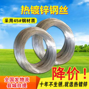 National Standard Hot-Dip Galvanized Steel Wire No. 12 Grape Frame Kiwi No. 16 No. 18 Passion Fruit No. 14 Steel Wire Single-Strand Steel Wire