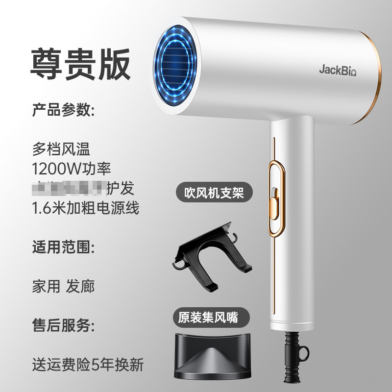 国境を越えたアマゾンマイナスイオン電気ブロー家庭用ヘアサロン大出力ブルーレイ電気ブローメーカー卸売り|undefined