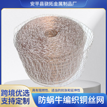 �羳��΁ţ�����~�W��̖���ξW��Һ�^�V�W���~�z�Wᄾ����s�~�z�W