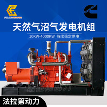 ��ȼ��l늙C�M 30kw50kw����˹�Bֳ���~�oˢ��ˮ̎�� �l늙C�O��