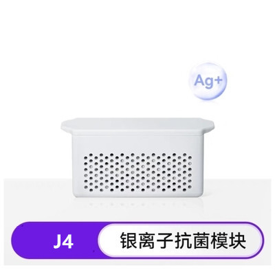 은이온 1개