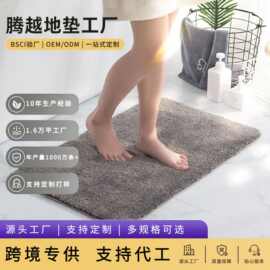 2CM地垫门垫吸水浴室防滑垫进门垫脚垫家用门厅地毯地垫定制代发