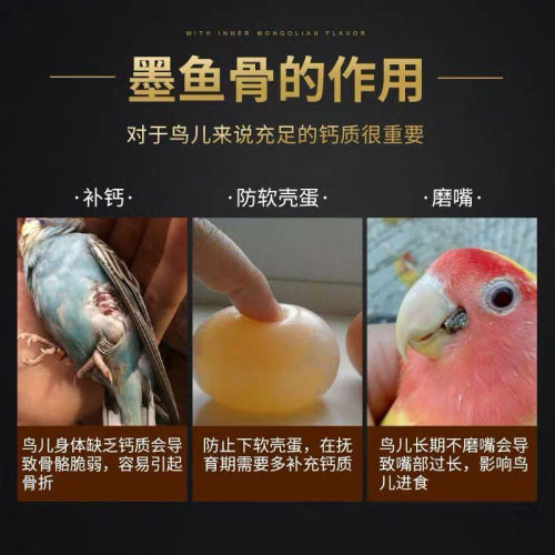 Cuttlefish bone black phoenix, tiger skin, peony parrot, calcium supplement, tooth grinding supplies, bird food, squirrel hanging string, chewing toys