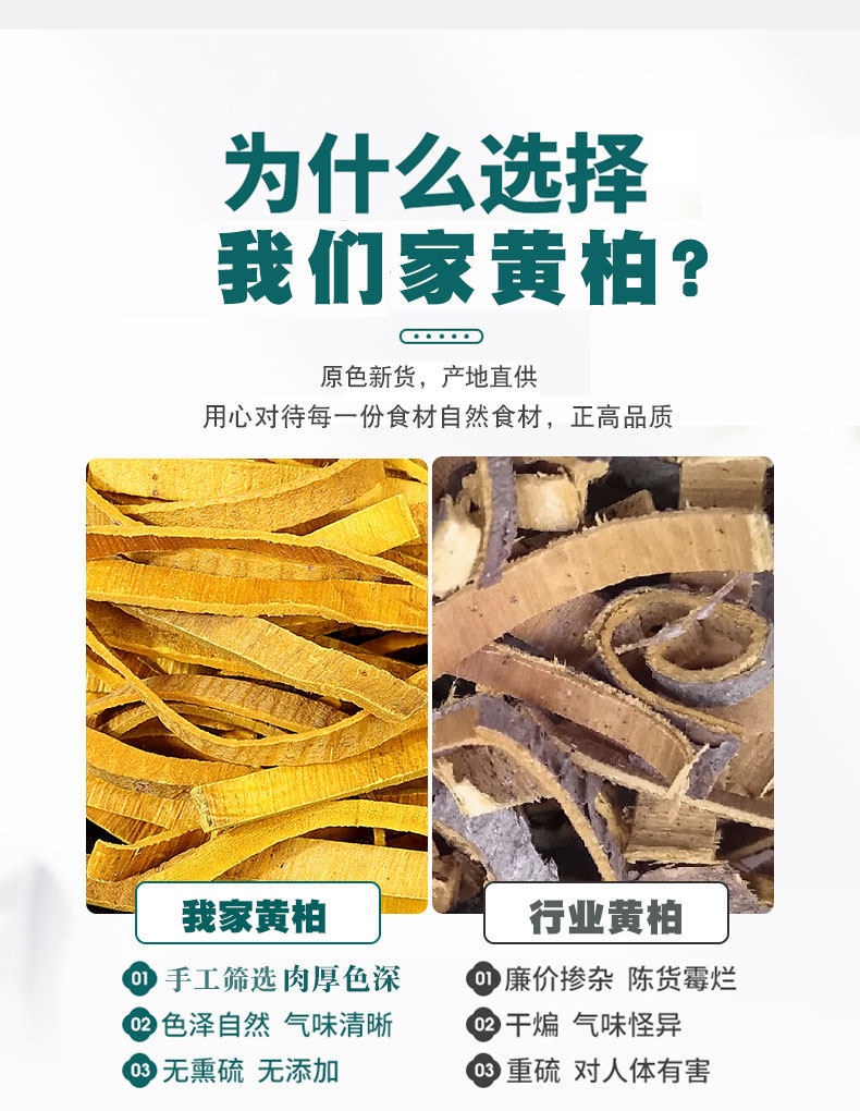 Dried Phellodendron Bark Huang Bai 500g Wild-Harvested Chinese Herb for Decoction and Herbal Pairing key features