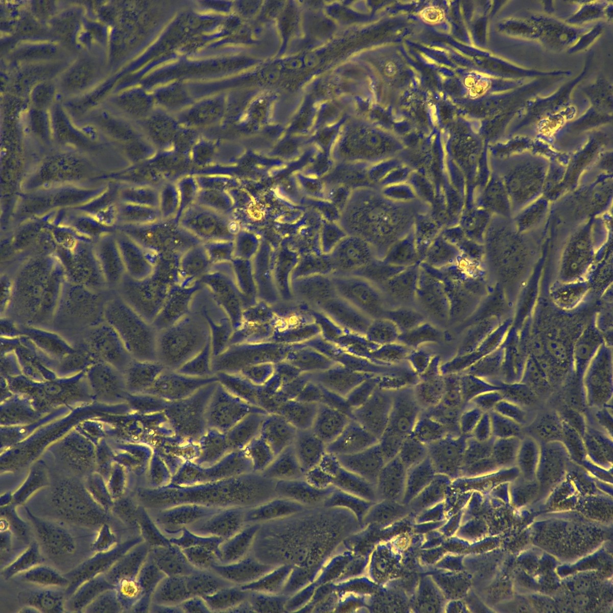 2025-09-18 14:59:32.jpg