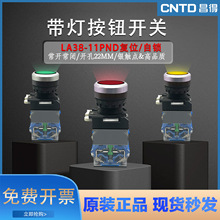 �������o�_�PLA38-11DN�ԏ�λ���i22mmƽ�^����ʽ���Ɔ��Ӱ��o220