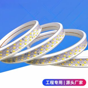 220V High Voltage Flexible Light Strip Home Decoration 5730 Colorful Three-Color Zhongshan Outdoor 2835 Outdoor Waterproof Led Light Strip