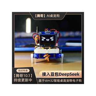 �������挙��AI��������stm32����DeepSeek�C����diy����׼�