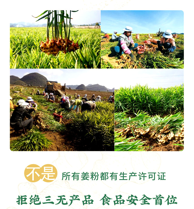 Organic Luoping Small Yellow Ginger Powder Gan Jiang 250g Bottle Warming Daily Drink key features