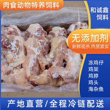 供应喂食动物饲料冷冻鸡架带脖蛇狐狸饲料肉食动物饲料