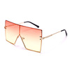 Multicoloured sunglasses, brand glasses, suitable for import