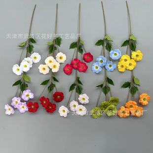 ��c���滨4�^��������Y��·���廨�Ҿ��bzӰ�������^������