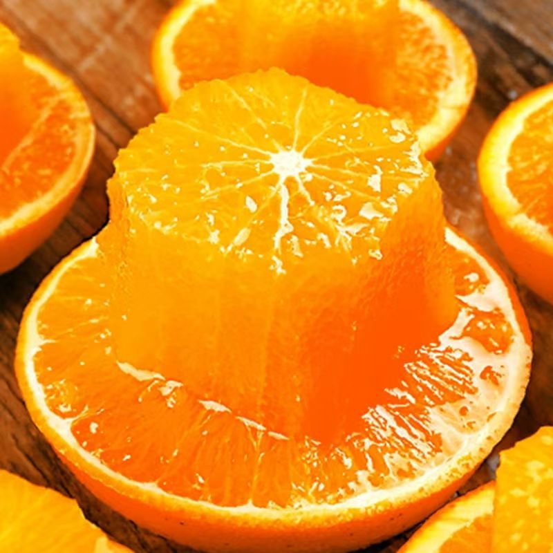 微信图片_20250927150611_67_8