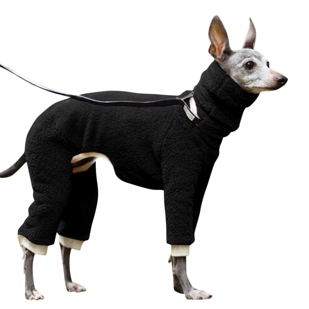 Greyhounds Whippet Coat