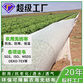 纺粘无纺布;水刺无纺布;餐垫、杯垫