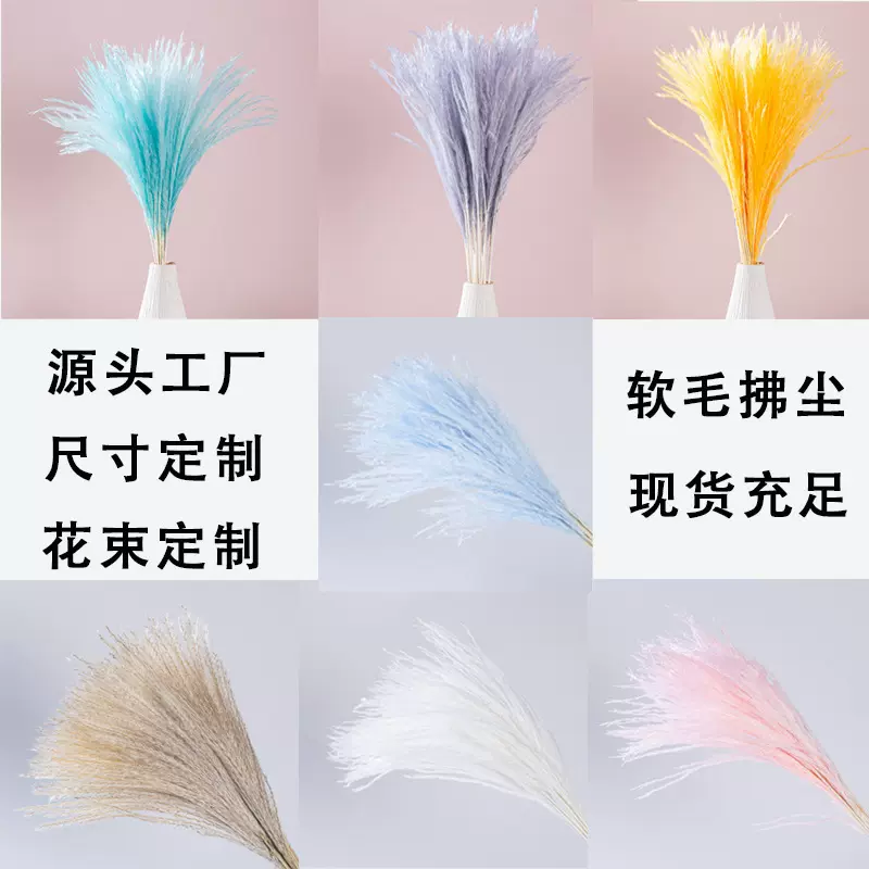 现货软毛拂尘永生花干花拂尘花束材料装饰手工花束配材厂家批发