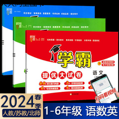 2024年春の学力向上テスト用紙、1、2、3、4、5、6年生の上下巻、同期テスト用紙、単元期末テスト用紙