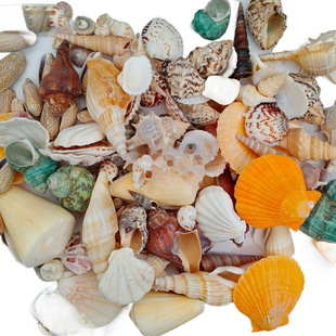 -���׸��Nؐ������ؐ���������l؛Դ�a���~���쾰��ˇƷ�Ĳ�