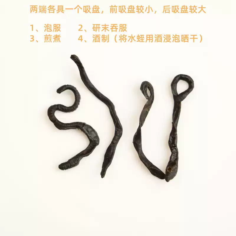 Dried Leech Shui Zhi 500g Traditional Chinese Medicinal Herb Raw Material key features
