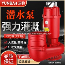 ��ھ�Ǳˮ��5��6��ũ���ȼ�ũ�����۱û���ش������ཬ��ˮ��