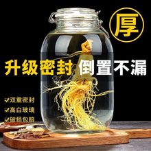 酒坛人参泡酒玻璃瓶加厚家用密封罐酒酿青梅酒瓶杨梅空瓶容器代发
