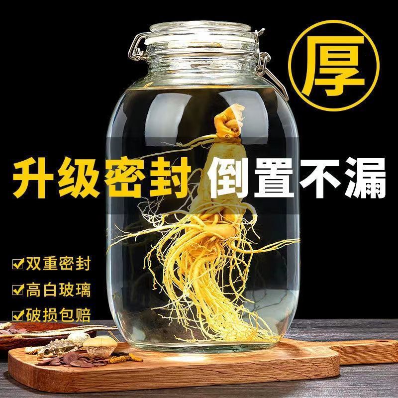 酒坛人参泡酒玻璃瓶加厚家用密封罐酒酿青梅酒瓶杨梅空瓶容器代发