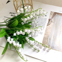 ���滨���z��m�� ��֧���ϻ� С�����ָ��L⏻��bٻ��羳����