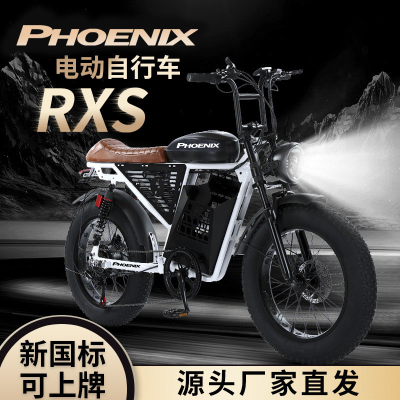 Super73-Rxs Snow Off-Road Adult Mountain Electric Bike Lithium Battery Electric Bicycle Power-Assisted Bicycle Super73-Rxs Snow Off-Road Adult Mountain Electric Bike Lithium Battery Electric Bicycle Power-Assisted Bicycle
