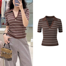 2026���Ŀ�ײɫ�l�y���|�r�����e�ٴ������@��polo�Iᘿ�T������