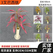 �羳����Gֲ3��������F�콶�t�F���Y�ò廨�٘��~�����쾰��