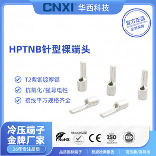 Cnxi Huaxi Technology Ptnb Pin-Type Bare Terminal Cold-Pressed Terminal Pin-Type Copper Terminal Ear Copper Wire Nose