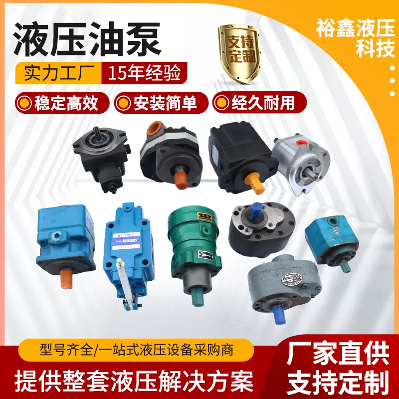 厂家供应液压油泵高压油泵液压泵齿轮泵叶片泵轴向柱塞泵