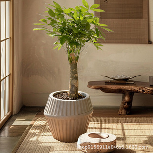 ���⮐���Q�y�L�ܻ���F���Ҿӈ@ˇ��������̘I���g�쾰���Sֱ��