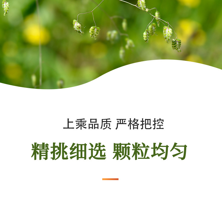 Tu Si Zi (Cuscuta chinensis) — Dried Dodder Seed, Washed & Sulfur-Free, 500g specifications