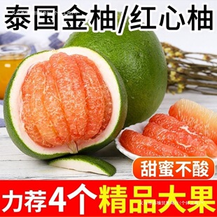 ̩���M�ڼt��������������r������Ƥ�t����ִ����������ˮ��