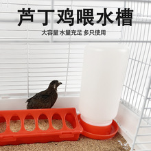 小鸡槽子芦丁鸡食槽养鸡鹌鹑饲料喂食器小型自动饮水器自动喂食器