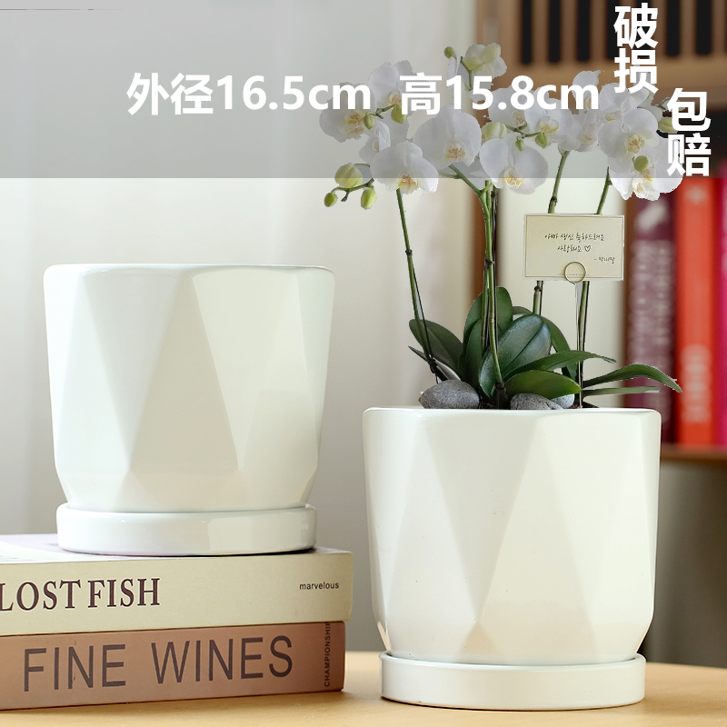 순백색의 대형 원뿔형 화분 2개