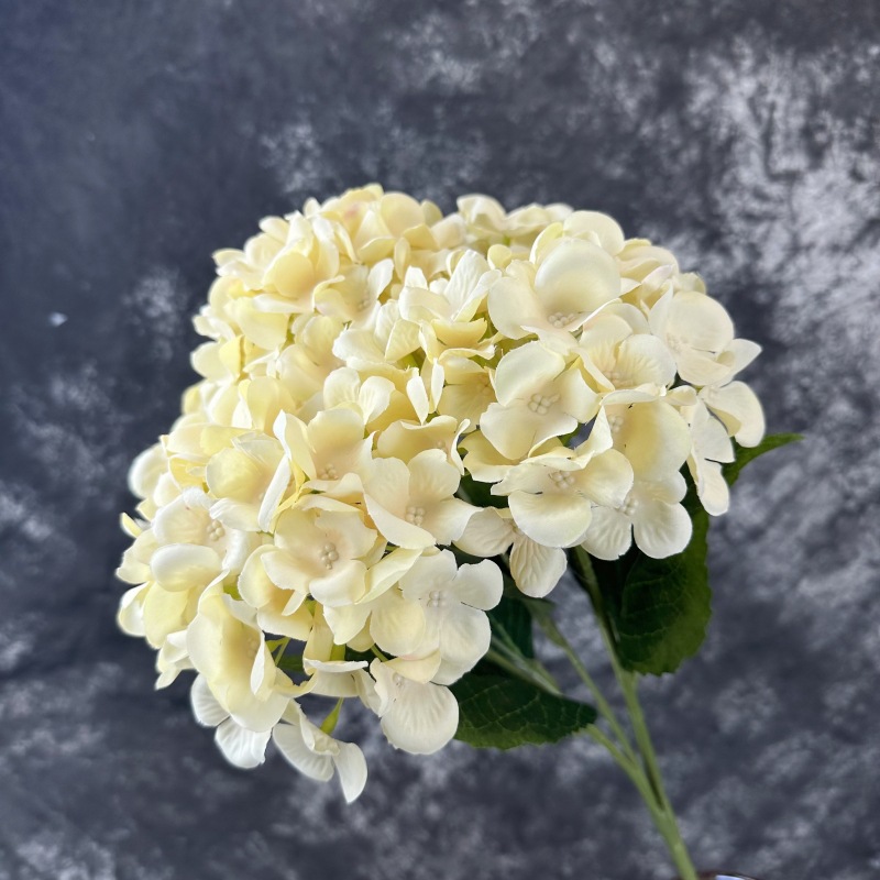 Mallorca artificial flor 5-cabeza hortensia hogar decoración de la boda de la flor de la pared arreglo paquete 5-tenedor hortensia grande tela de seda flor falsa