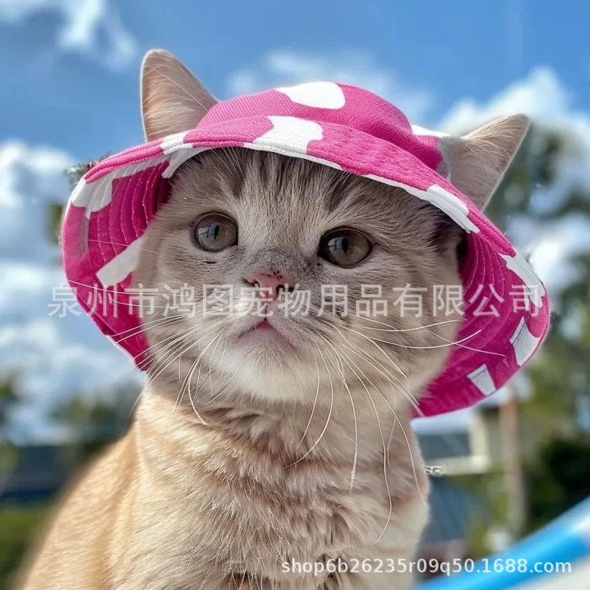 Новая трансграничная шляпа для домашних животных, летняя шляпа от солнца для собак, солнцезащитная шляпа для кошек, шляпа от солнца Bichon Teddy с открытым ухом, голова